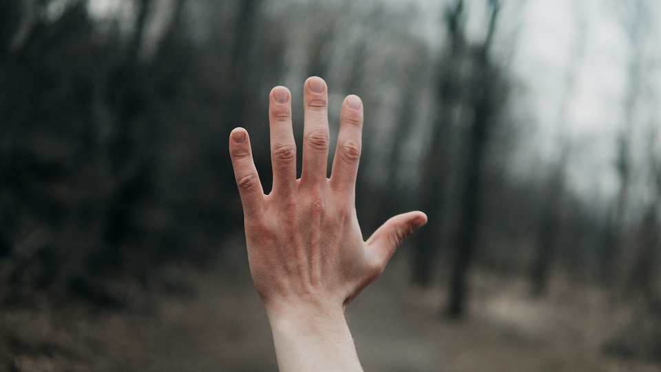 Fingers Flying and Thoughts Complying